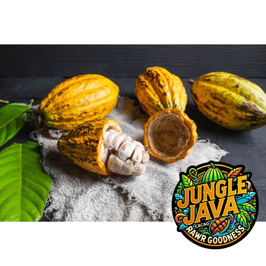 Health Benefits – Jungle Java Cacao